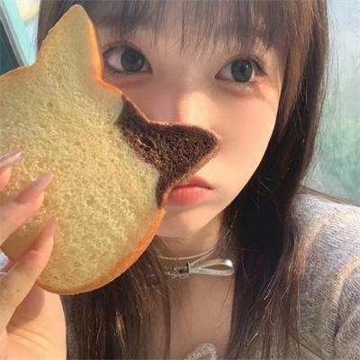动物也疯狂